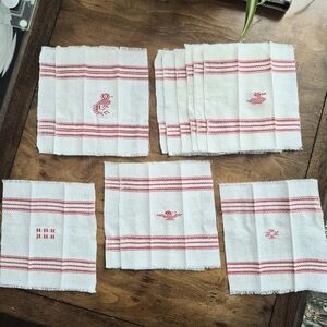 12 Bird Themed Cocktail Napkins